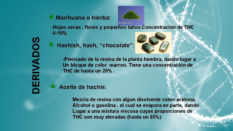 Marihuana o hierba: DERIVADOS -Hojas secas , flores y pequeños tallos. Concentración de THC