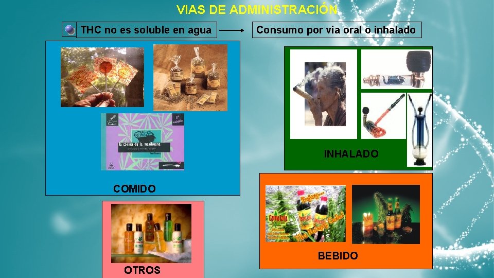  VIAS DE ADMINISTRACIÓN THC no es soluble en agua Consumo por via oral