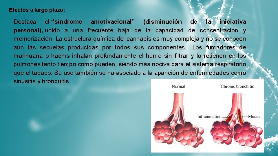 Efectos a largo plazo: Destaca el “síndrome amotivacional” (disminución de la iniciativa personal), unido