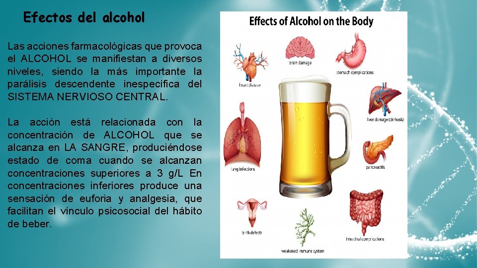 Efectos del alcohol Las acciones farmacológicas que provoca el ALCOHOL se manifiestan a diversos