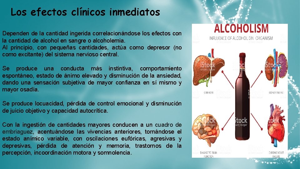 Los efectos clínicos inmediatos Dependen de la cantidad ingerida correlacionándose los efectos con la