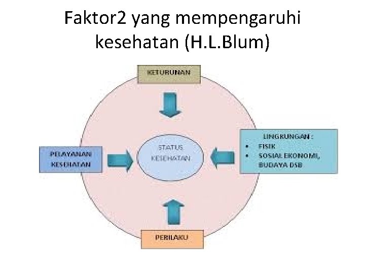 Faktor 2 yang mempengaruhi kesehatan (H. L. Blum) 