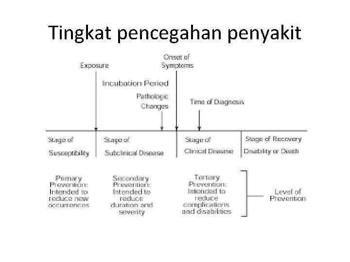 Tingkat pencegahan penyakit 