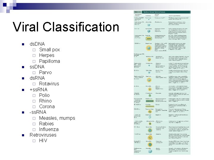 Viral Classification n n n ds. DNA ¨ Small pox ¨ Herpes ¨ Papilloma