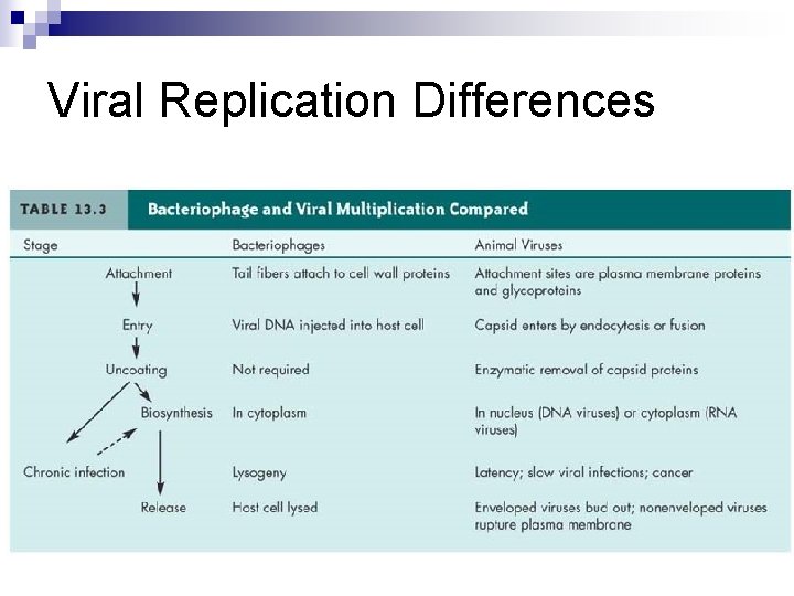 Viral Replication Differences 