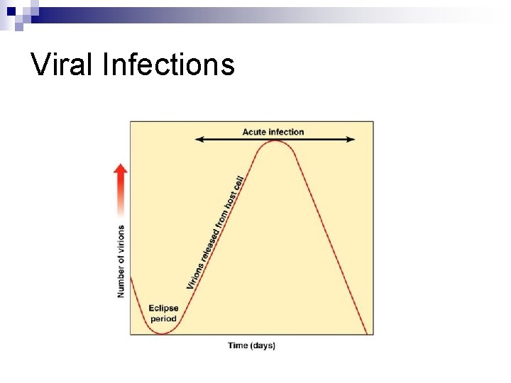 Viral Infections 