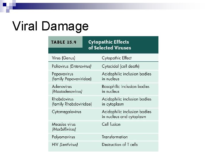 Viral Damage 