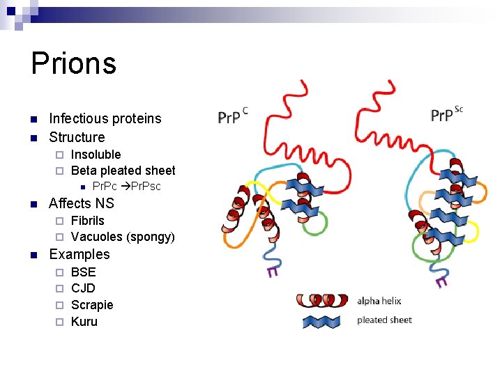 Prions n n Infectious proteins Structure Insoluble ¨ Beta pleated sheet ¨ n n