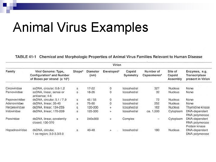 Animal Virus Examples 