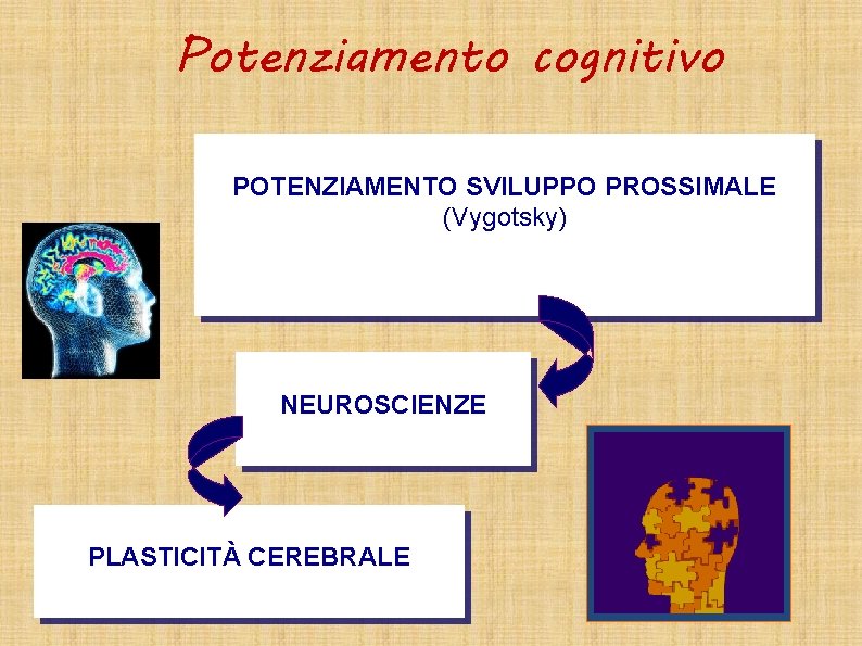 Potenziamento cognitivo POTENZIAMENTO SVILUPPO PROSSIMALE (Vygotsky) NEUROSCIENZE PLASTICITÀ CEREBRALE 