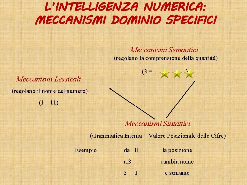 L’INTELLIGENZA NUMERICA: MECCANISMI DOMINIO SPECIFICI Meccanismi Semantici (regolano la comprensione della quantità) (3 =