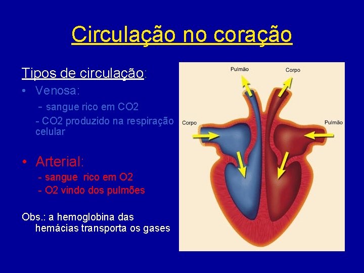 Circulação no coração Tipos de circulação: • Venosa: - sangue rico em CO 2