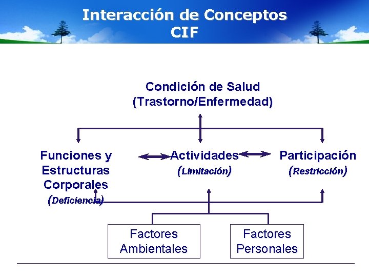 Interacción de Conceptos CIF Condición de Salud (Trastorno/Enfermedad) Funciones y Estructuras Corporales (Deficiencia) Actividades