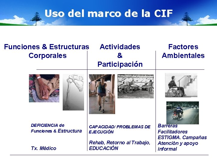 Uso del marco de la CIF Funciones & Estructuras Corporales Actividades & Participación Factores