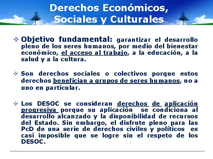 Derechos Económicos, Sociales y Culturales v Objetivo fundamental: garantizar el desarrollo pleno de los