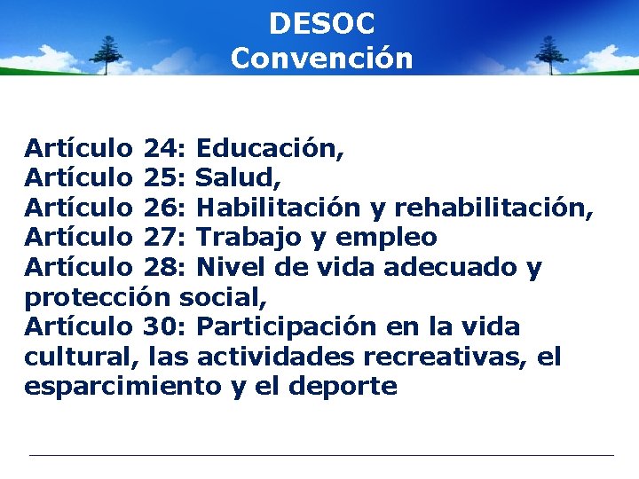 DESOC Convención Artículo 24: Educación, Artículo 25: Salud, Artículo 26: Habilitación y rehabilitación, Artículo