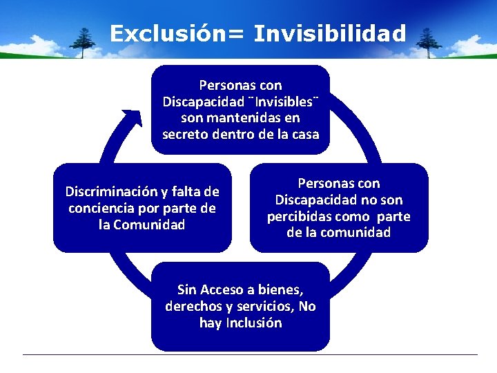 Exclusión= Invisibilidad Personas con Discapacidad ¨Invisibles¨ son mantenidas en secreto dentro de la casa