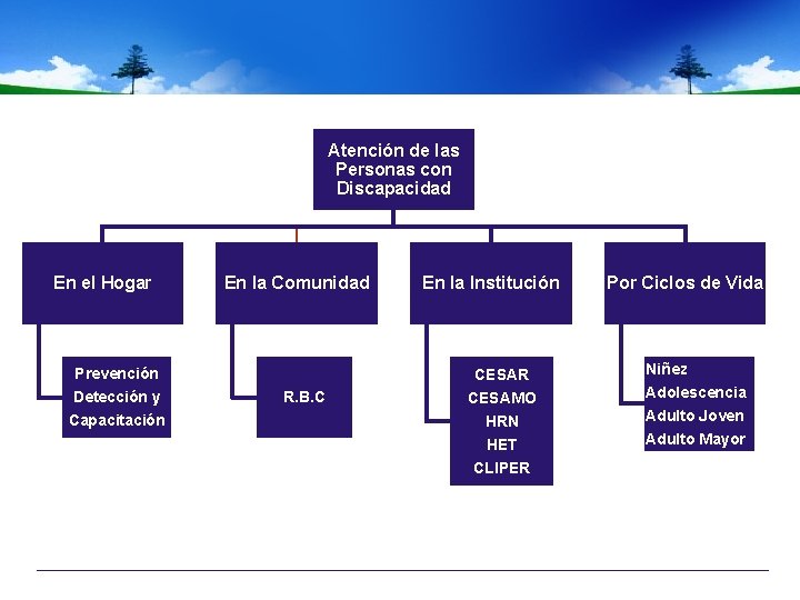 Atención de las Personas con Discapacidad En el Hogar En la Comunidad Prevención Detección