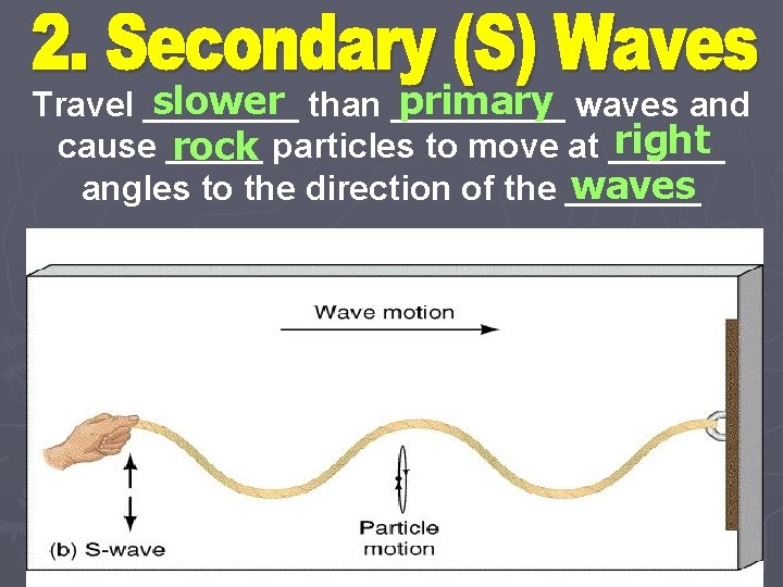 slower than _____ primary waves and Travel ____ right cause _____ rock particles to