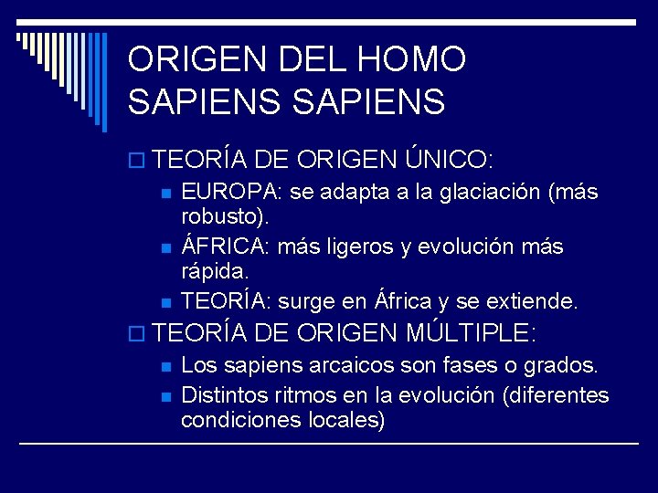 ORIGEN DEL HOMO SAPIENS o TEORÍA DE ORIGEN ÚNICO: n EUROPA: se adapta a ORIGEN DEL HOMO SAPIENS o TEORÍA DE ORIGEN ÚNICO: n EUROPA: se adapta a