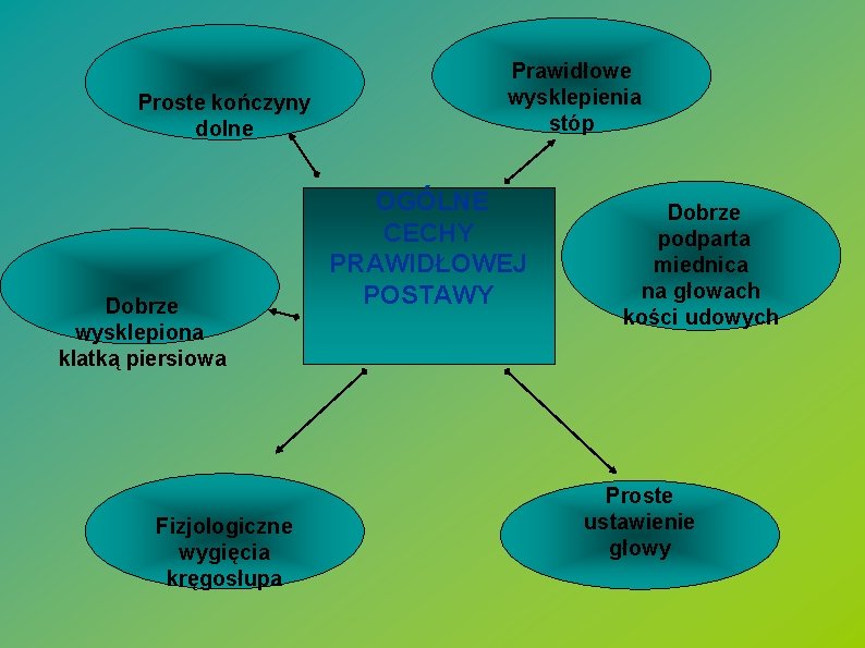  Proste kończyny dolne Dobrze wysklepiona klatką piersiowa Fizjologiczne wygięcia kręgosłupa Prawidłowe wysklepienia stóp