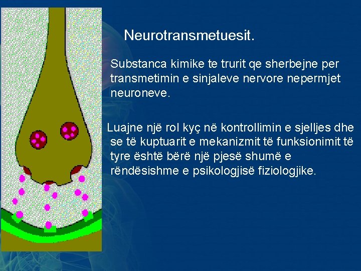 Neurotransmetuesit. • Substanca kimike te trurit qe sherbejne per transmetimin e sinjaleve nervore nepermjet Neurotransmetuesit. • Substanca kimike te trurit qe sherbejne per transmetimin e sinjaleve nervore nepermjet