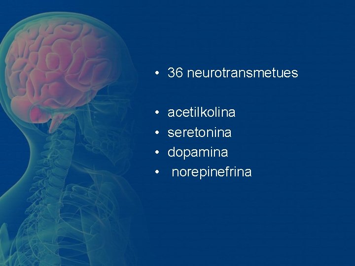 • 36 neurotransmetues • • acetilkolina seretonina dopamina norepinefrina • 36 neurotransmetues • • acetilkolina seretonina dopamina norepinefrina