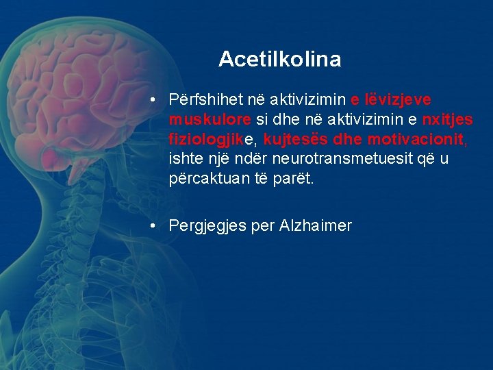 Acetilkolina • Përfshihet në aktivizimin e lëvizjeve muskulore si dhe në aktivizimin e nxitjes Acetilkolina • Përfshihet në aktivizimin e lëvizjeve muskulore si dhe në aktivizimin e nxitjes
