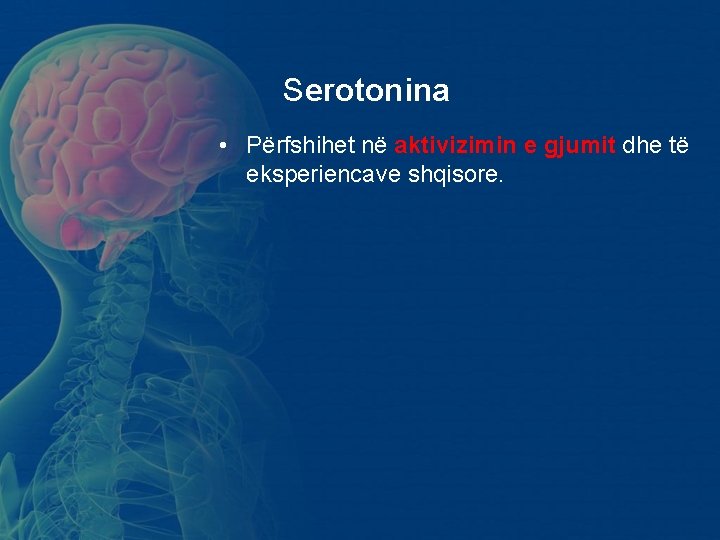 Serotonina • Përfshihet në aktivizimin e gjumit dhe të eksperiencave shqisore. Serotonina • Përfshihet në aktivizimin e gjumit dhe të eksperiencave shqisore.