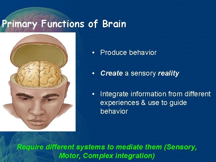 Primary Functions of Brain • Produce behavior • Create a sensory reality • Integrate Primary Functions of Brain • Produce behavior • Create a sensory reality • Integrate