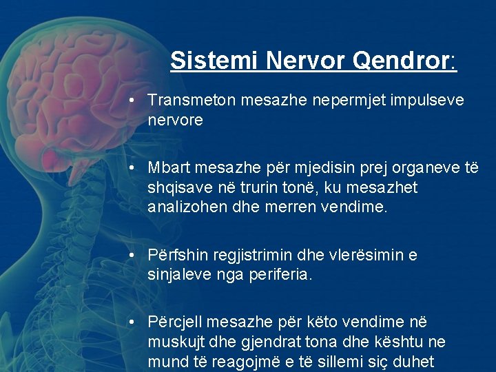 Sistemi Nervor Qendror: • Transmeton mesazhe nepermjet impulseve nervore • Mbart mesazhe për mjedisin Sistemi Nervor Qendror: • Transmeton mesazhe nepermjet impulseve nervore • Mbart mesazhe për mjedisin