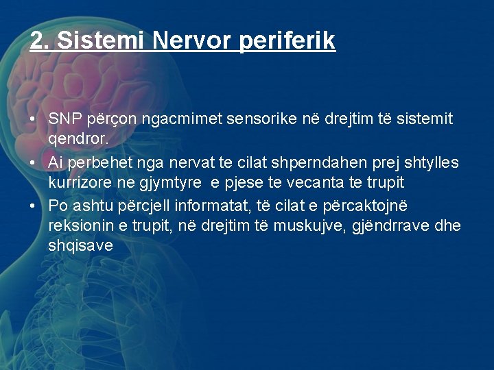 2. Sistemi Nervor periferik • SNP përçon ngacmimet sensorike në drejtim të sistemit qendror. 2. Sistemi Nervor periferik • SNP përçon ngacmimet sensorike në drejtim të sistemit qendror.