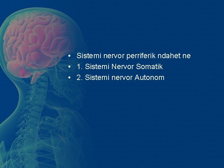 • Sistemi nervor perriferik ndahet ne • 1. Sistemi Nervor Somatik • 2. • Sistemi nervor perriferik ndahet ne • 1. Sistemi Nervor Somatik • 2.