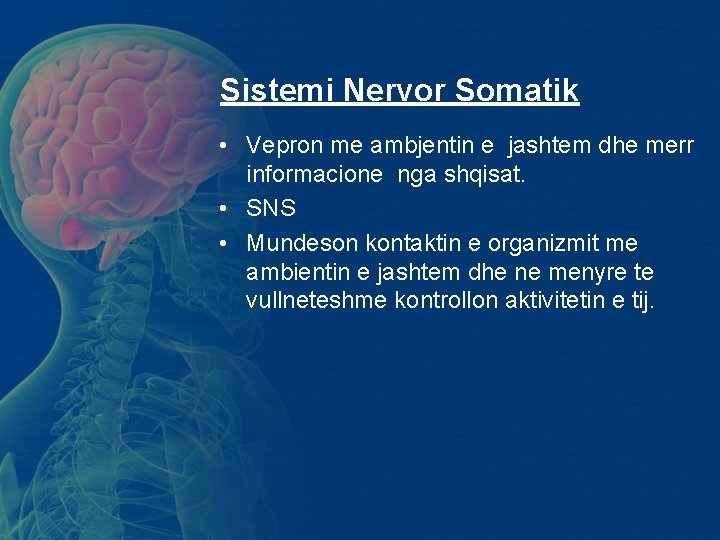 Sistemi Nervor Somatik • Vepron me ambjentin e jashtem dhe merr informacione nga shqisat. Sistemi Nervor Somatik • Vepron me ambjentin e jashtem dhe merr informacione nga shqisat.