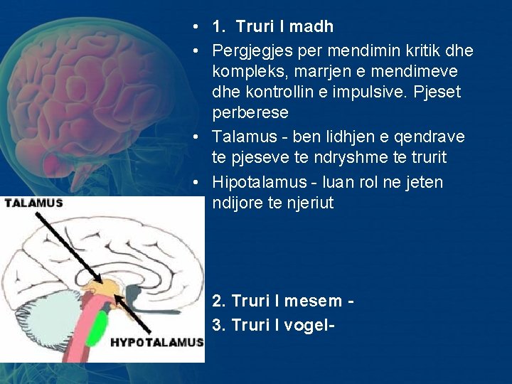 • 1. Truri I madh • Pergjegjes per mendimin kritik dhe kompleks, marrjen • 1. Truri I madh • Pergjegjes per mendimin kritik dhe kompleks, marrjen