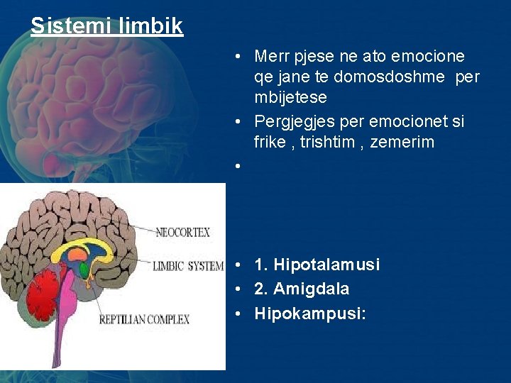 Sistemi limbik • Merr pjese ne ato emocione qe jane te domosdoshme per mbijetese Sistemi limbik • Merr pjese ne ato emocione qe jane te domosdoshme per mbijetese