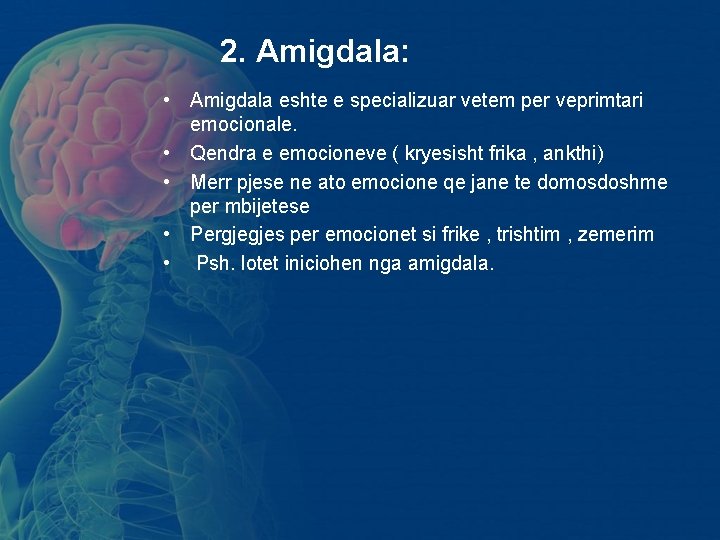 2. Amigdala: • Amigdala eshte e specializuar vetem per veprimtari emocionale. • Qendra e 2. Amigdala: • Amigdala eshte e specializuar vetem per veprimtari emocionale. • Qendra e