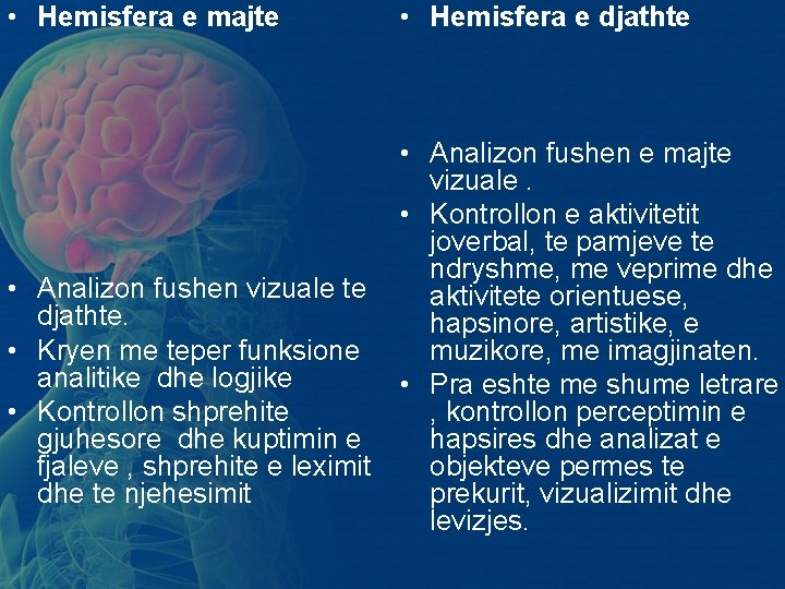 • Hemisfera e majte • Hemisfera e djathte • Analizon fushen e majte • Hemisfera e majte • Hemisfera e djathte • Analizon fushen e majte