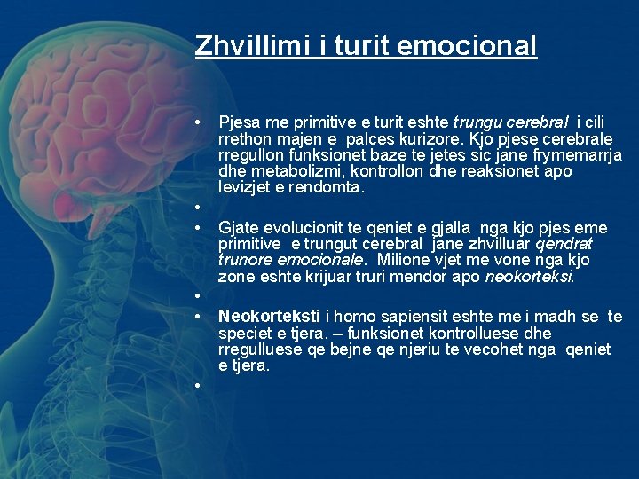 Zhvillimi i turit emocional • • • Pjesa me primitive e turit eshte trungu Zhvillimi i turit emocional • • • Pjesa me primitive e turit eshte trungu