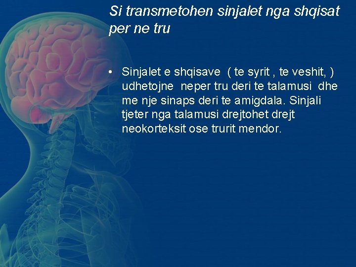 Si transmetohen sinjalet nga shqisat per ne tru • Sinjalet e shqisave ( te Si transmetohen sinjalet nga shqisat per ne tru • Sinjalet e shqisave ( te