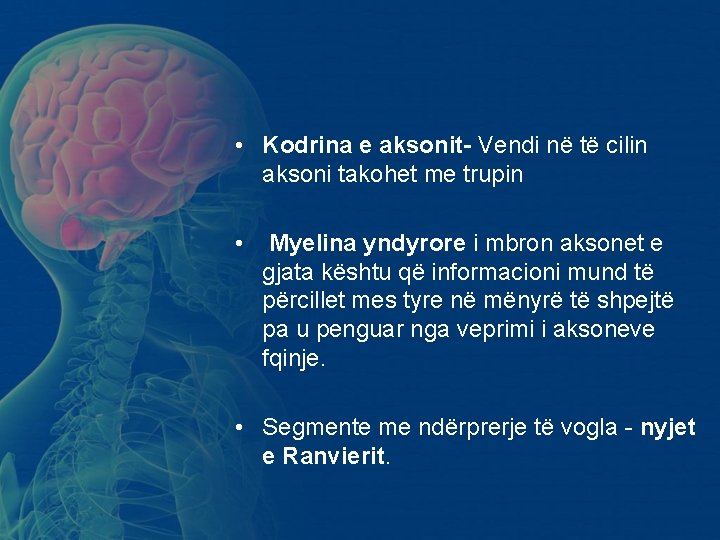 • Kodrina e aksonit- Vendi në të cilin aksoni takohet me trupin • • Kodrina e aksonit- Vendi në të cilin aksoni takohet me trupin •