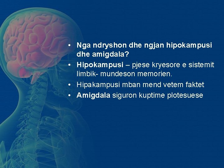 • Nga ndryshon dhe ngjan hipokampusi dhe amigdala? • Hipokampusi – pjese kryesore • Nga ndryshon dhe ngjan hipokampusi dhe amigdala? • Hipokampusi – pjese kryesore