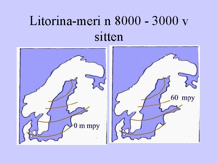 Litorina-meri n 8000 - 3000 v sitten 