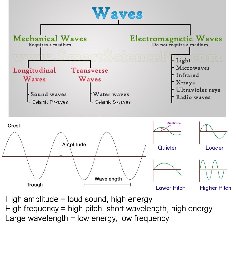 - Seismic P waves - Seismic S waves High amplitude = loud sound, high