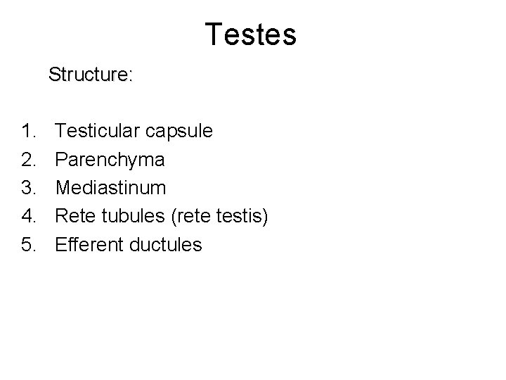 Testes Structure: 1. 2. 3. 4. 5. Testicular capsule Parenchyma Mediastinum Rete tubules (rete