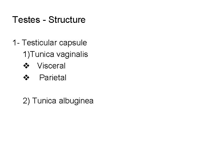 Testes - Structure 1 - Testicular capsule 1)Tunica vaginalis v Visceral v Parietal 2)