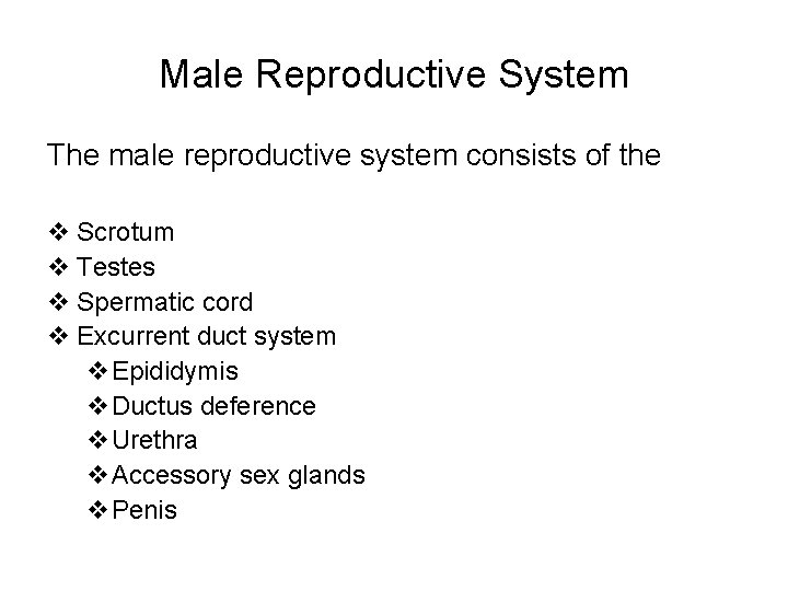 Male Reproductive System The male reproductive system consists of the v Scrotum v Testes