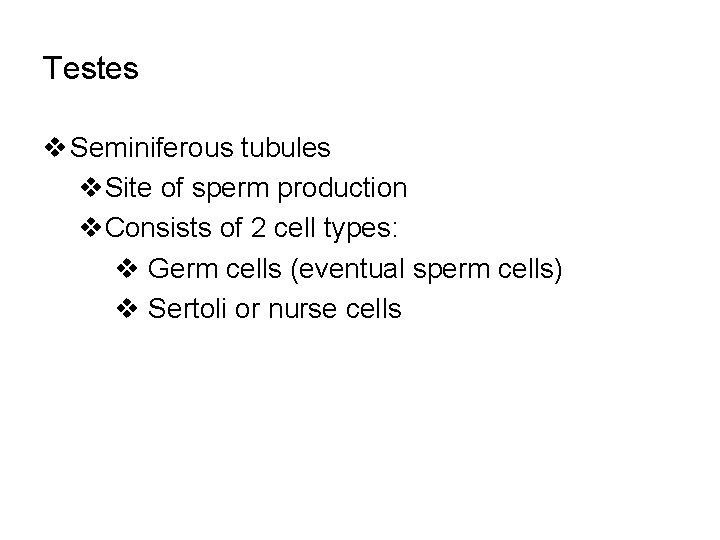 Testes v Seminiferous tubules v. Site of sperm production v. Consists of 2 cell