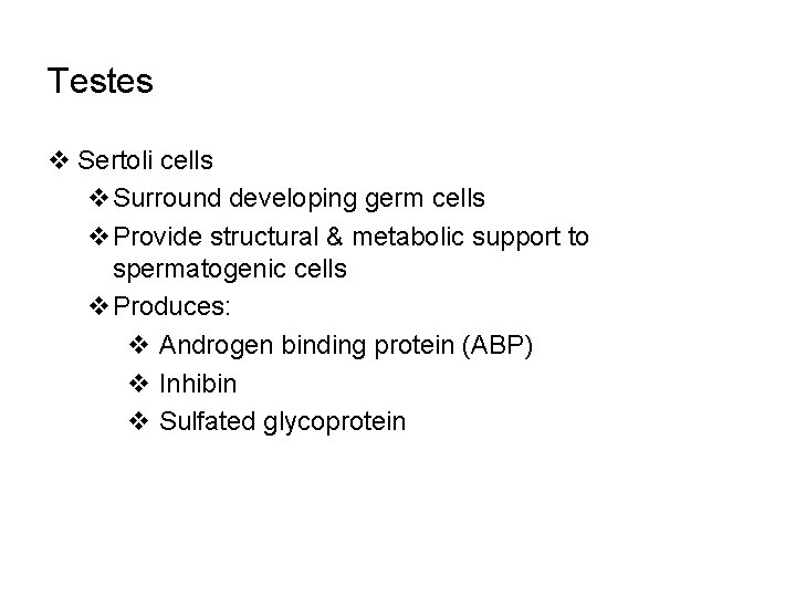 Testes v Sertoli cells v. Surround developing germ cells v. Provide structural & metabolic