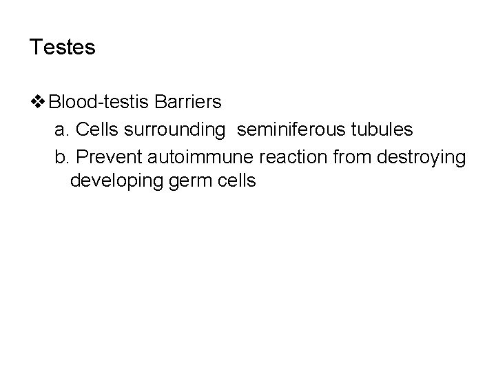 Testes v Blood-testis Barriers a. Cells surrounding seminiferous tubules b. Prevent autoimmune reaction from